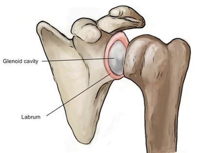 shoulder labrum injury